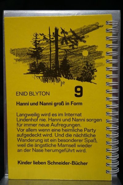 Upcycling - Notizbuch - Hanni und Nanni groß in Form