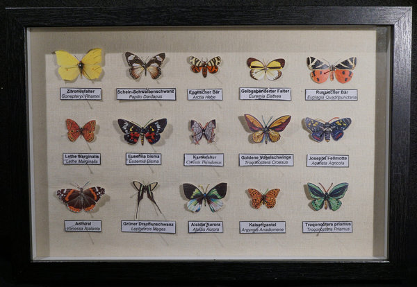 Lepidoptera Philatelis - Schmetterlingskasten aus Briefmarken 002
