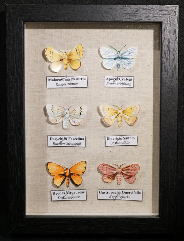 Lepidoptera Philatelis - Schmetterlingskasten aus Briefmarken 019