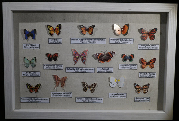 Lepidoptera Philatelis - Schmetterlingskasten aus Briefmarken 016