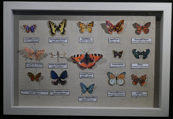 Lepidoptera Philatelis - Schmetterlingskasten aus Briefmarken 029